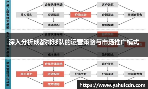 深入分析成都排球队的运营策略与市场推广模式